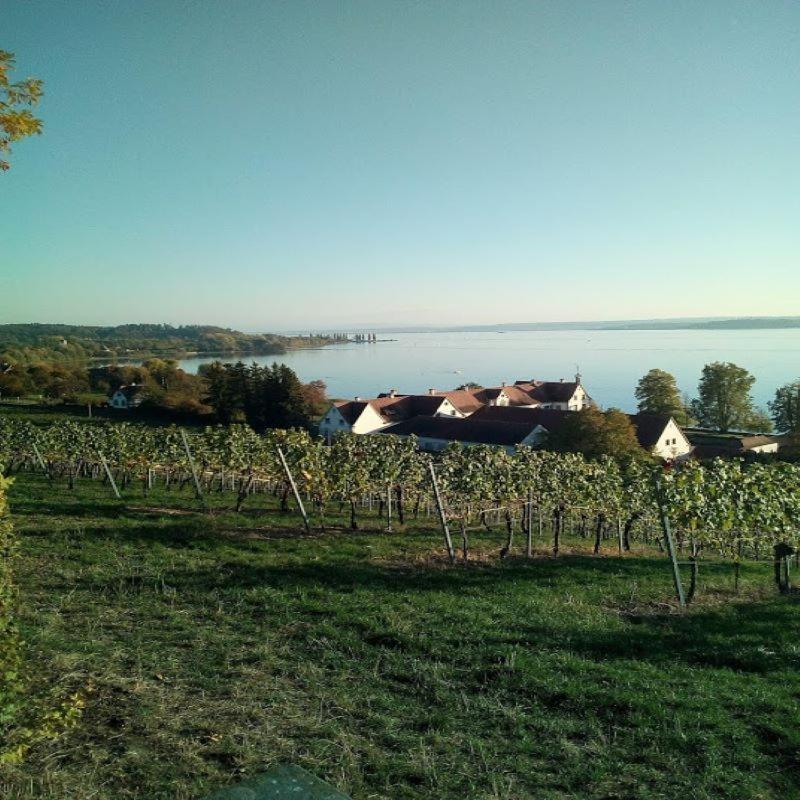 Ferienwohnung Am Bodensee อูลดิงเงน มึลโฮเฟิน ภายนอก รูปภาพ
